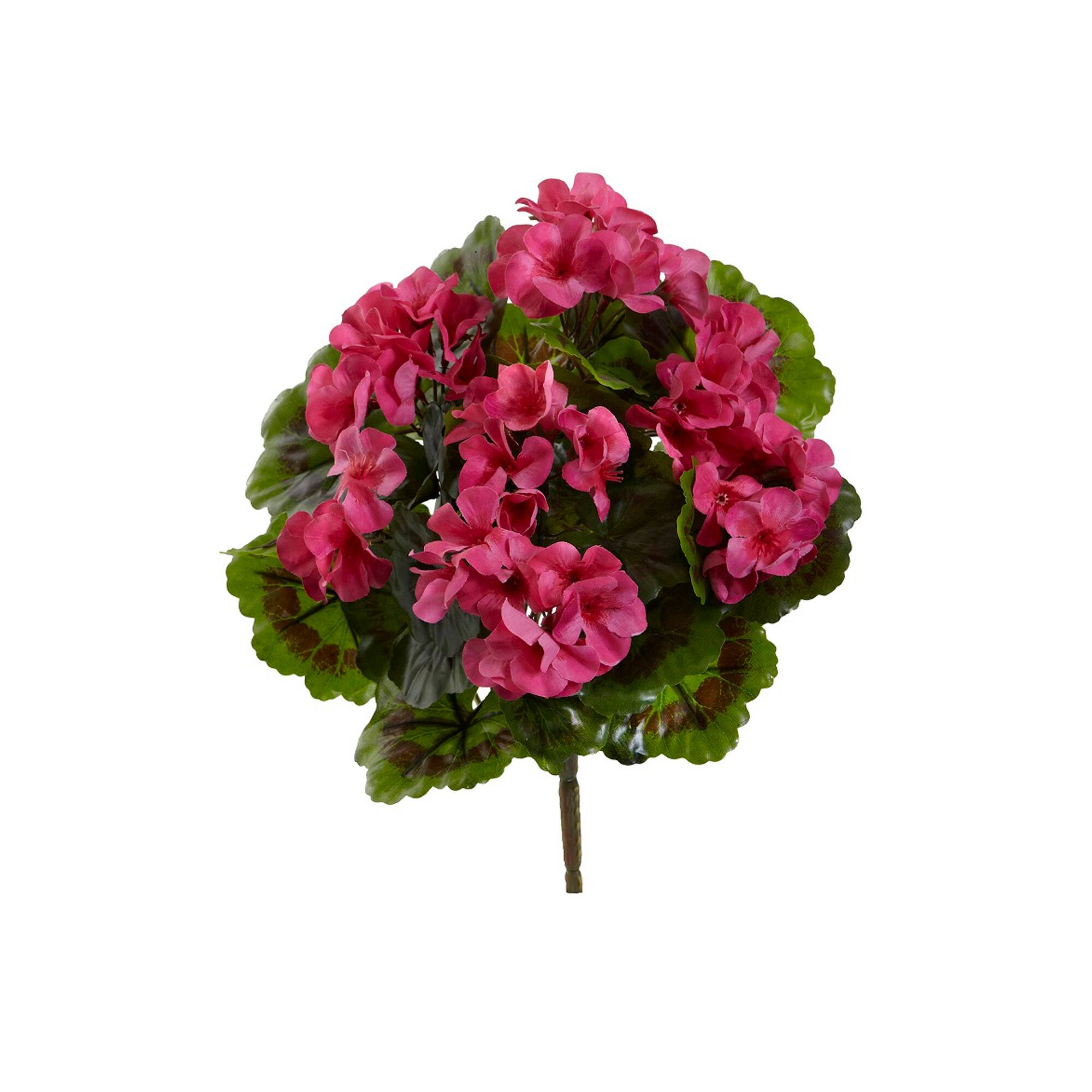 Pink Geranium Bush, 4ct.